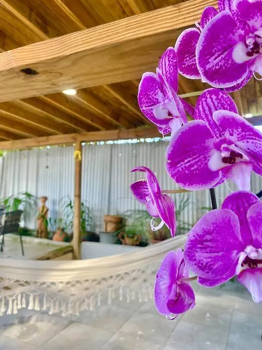 5 Min From Airport Sju Secret Garden Rental Pr 산후안 펜션