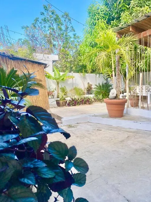 5 Min From Airport Sju Secret Garden Rental Pr 산후안 0*,  푸에르토리코