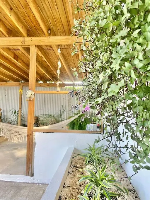 5 Min From Airport Sju Secret Garden Rental Pr 산후안